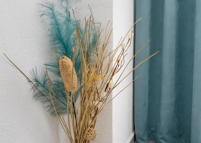 Lois شقة تورّيفيِخا